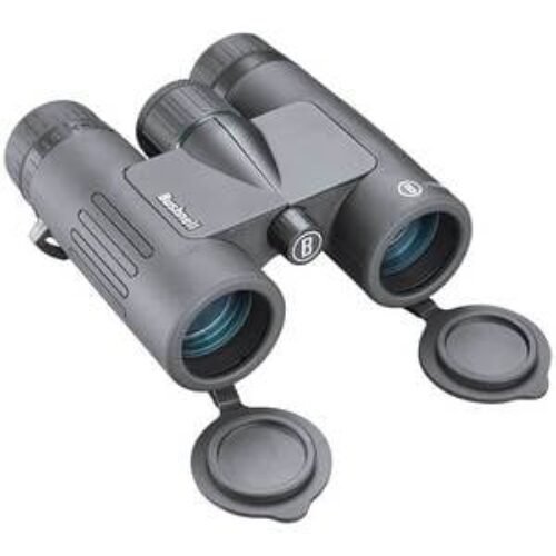 Bushnell Prime 8×32 Binoculars – Black