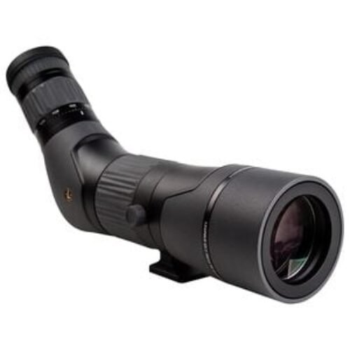 Leupold SX-2 Alpine HD 20-60×60 Spotting Scope – Angled